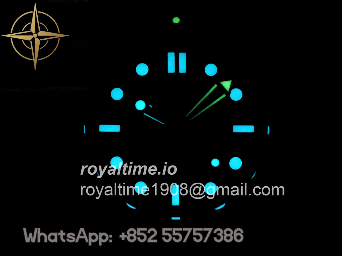 Omega Seamaster Diver 300M Black Ceramic Bezel ORF All Black Dial On Black Rubber Strap OR8806 - Image 25