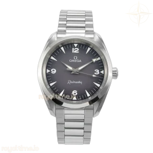 Omega Heritage Railmaster VSF Gray Dial on SS Bracelet VS8806